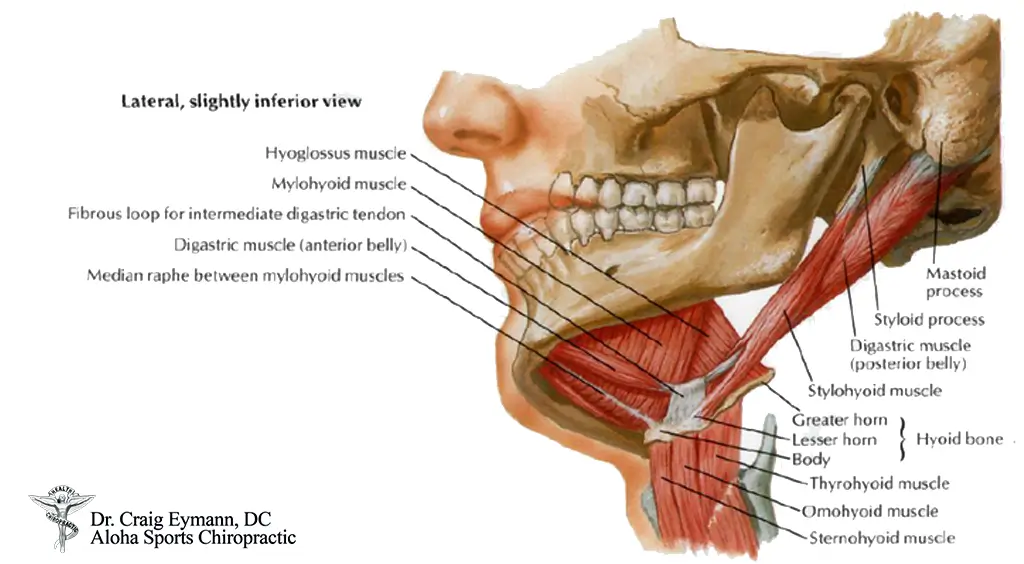 effects of poor posture