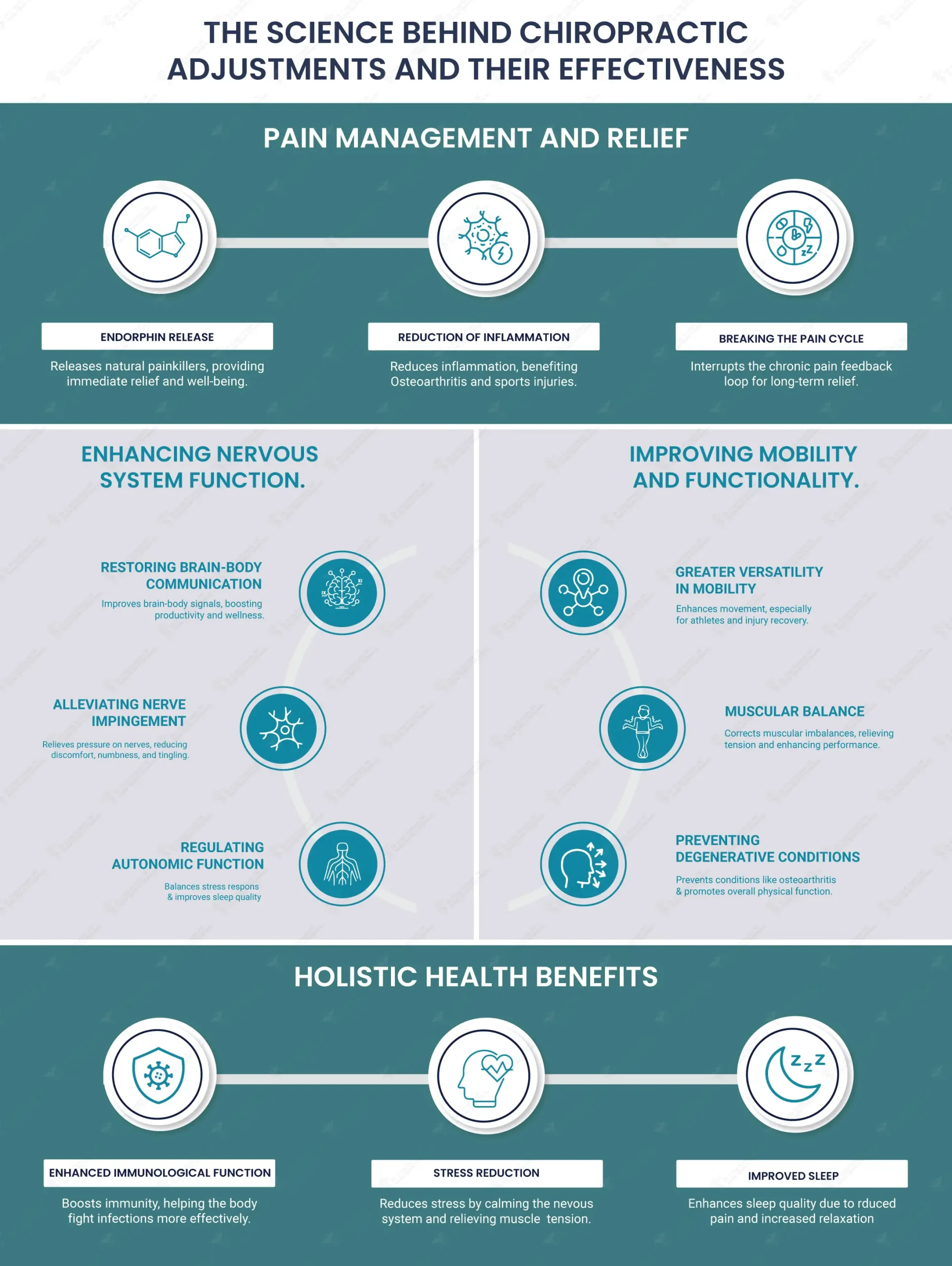 The Science Behind Chiropractic Adjustments